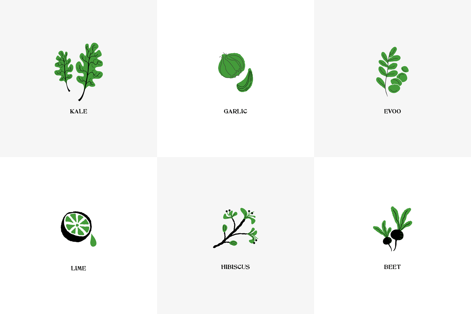 Alive & Radiant ingredient spot illustrations