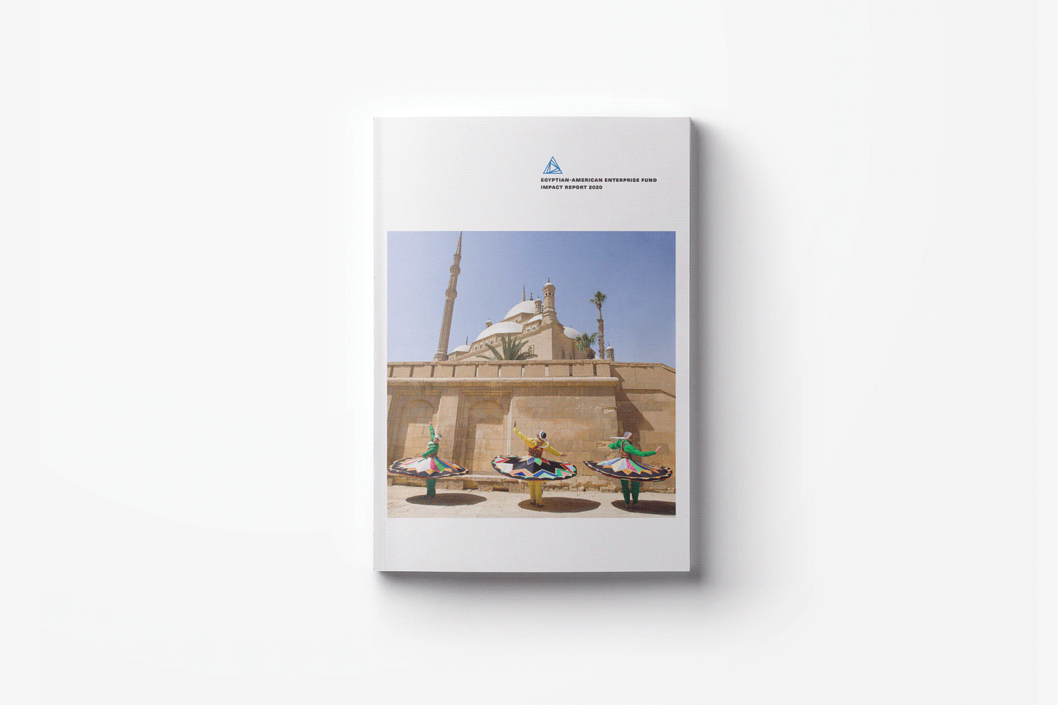 EAEF Impact Report layout explore.