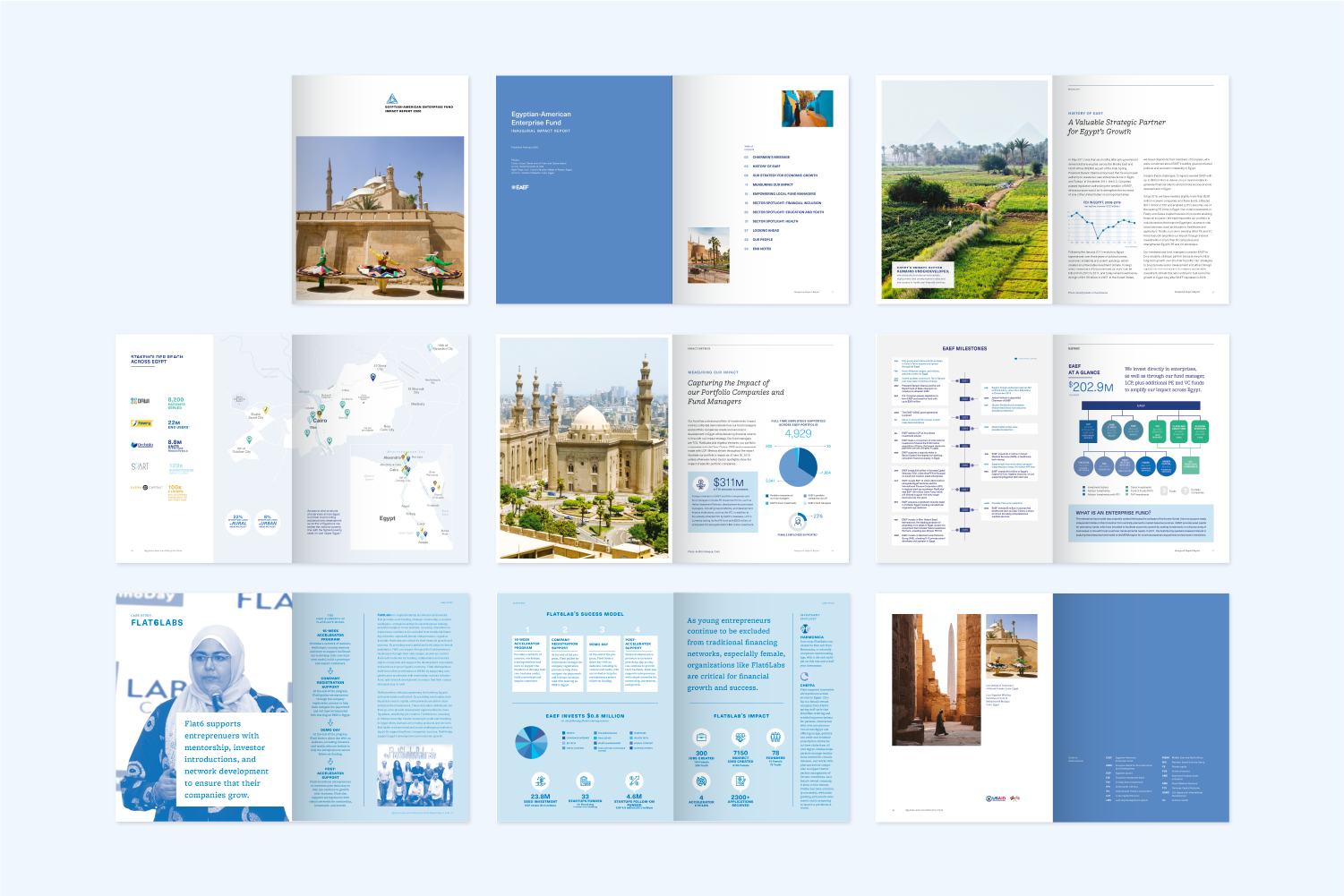 Egyptian-American Enterprise Fund Impact Report pages.